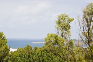 A coastal landscape with trees and a view of the sea. - Hotel Oasis Atalaya (Conil de la Frontera)