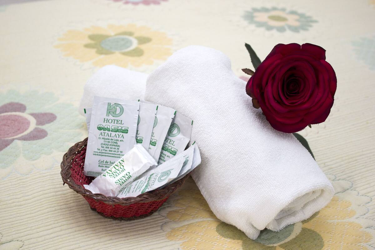 combined shower/bathtub, hair dryer, bidet, towels