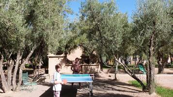 Sports facility