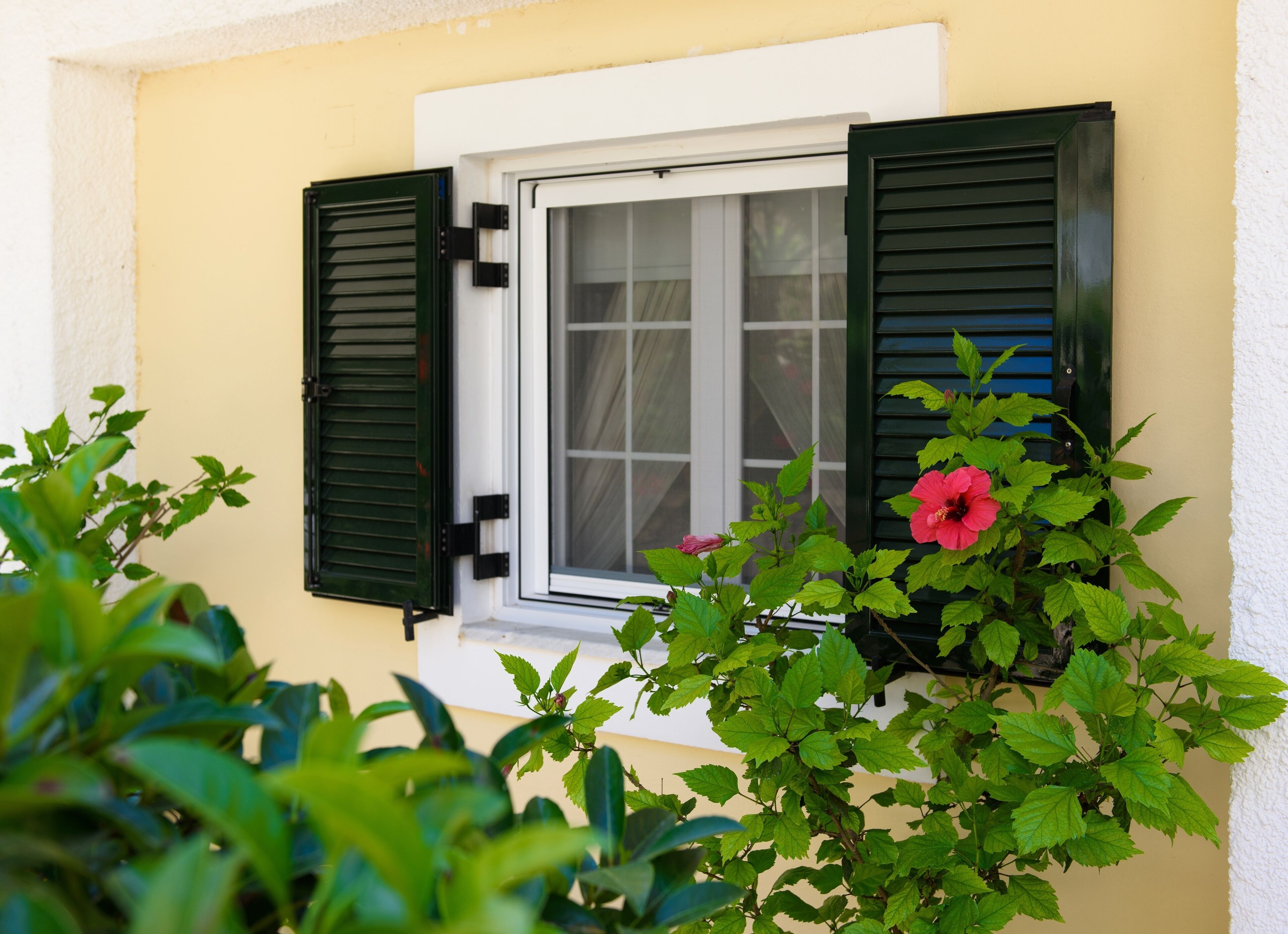A window with green shutters, a white frame, and a white wall.
