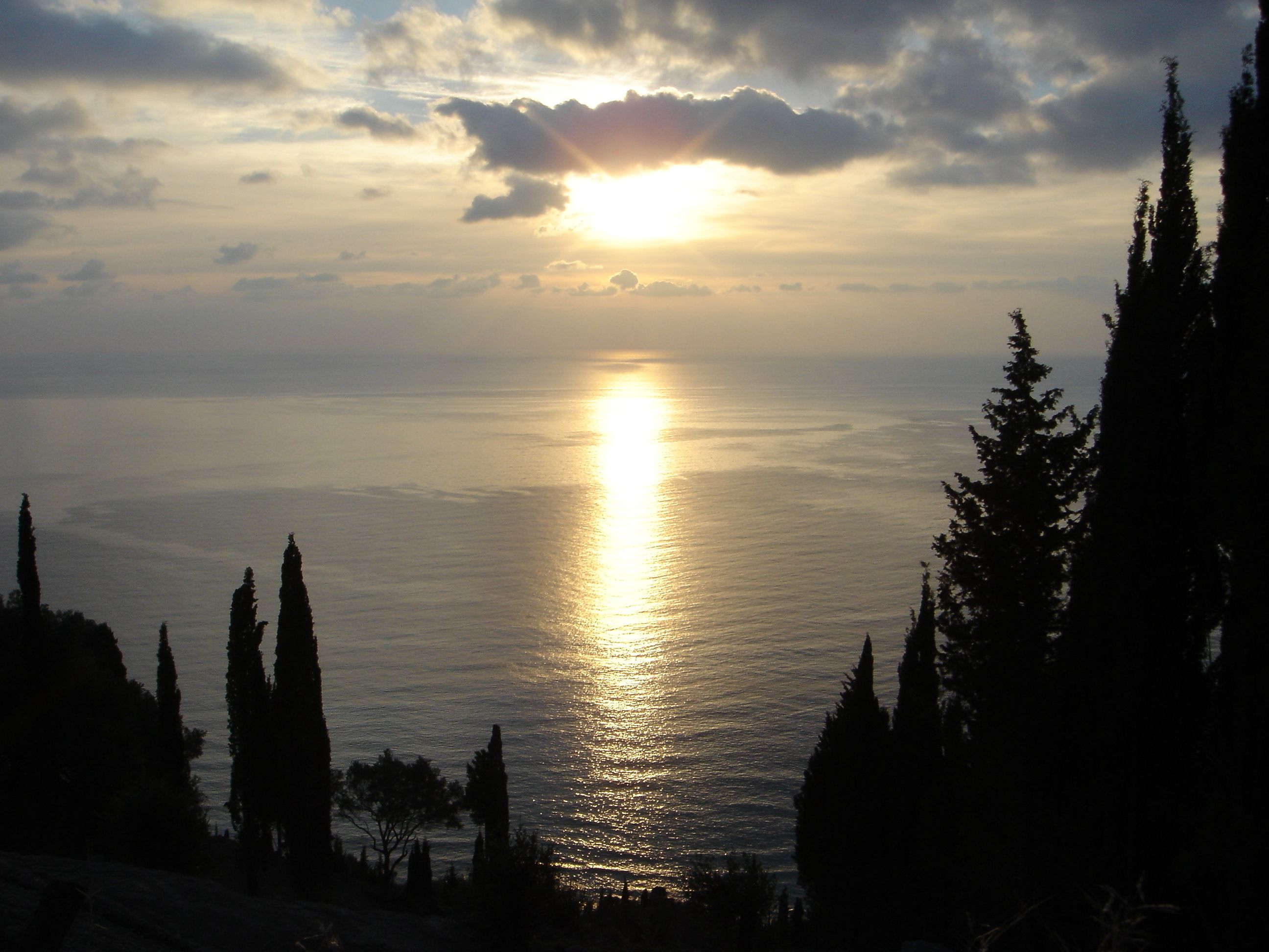 Un coucher de soleil sur une mer calme, avec les silhouettes d’arbres au premier plan.