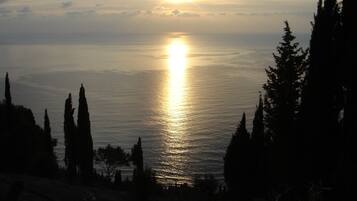 Tramonto su un mare calmo, con le sagome di alberi in primo piano.