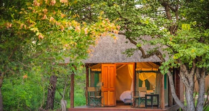 Shindzela Tented Safari Camp