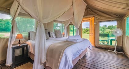 Shindzela Tented Safari Camp