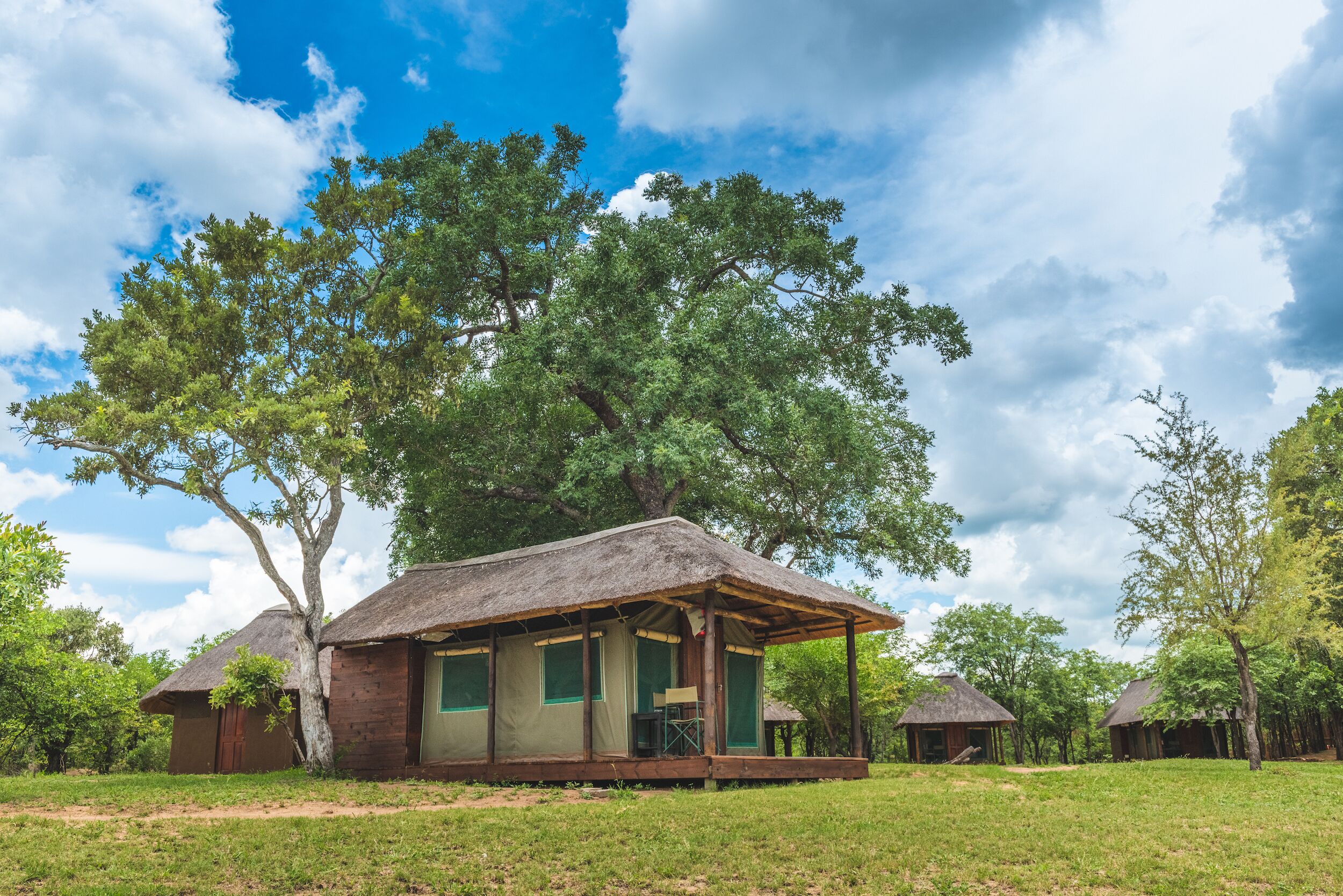 A rustic lodge with a thatched roof, surrounded by lush greenery and trees.