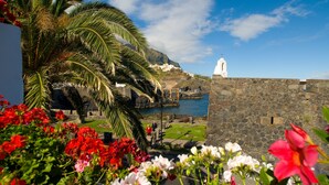 A coastal view with a white church, stone walls, and red flowers in the foreground. - Garahotel (Garachico)