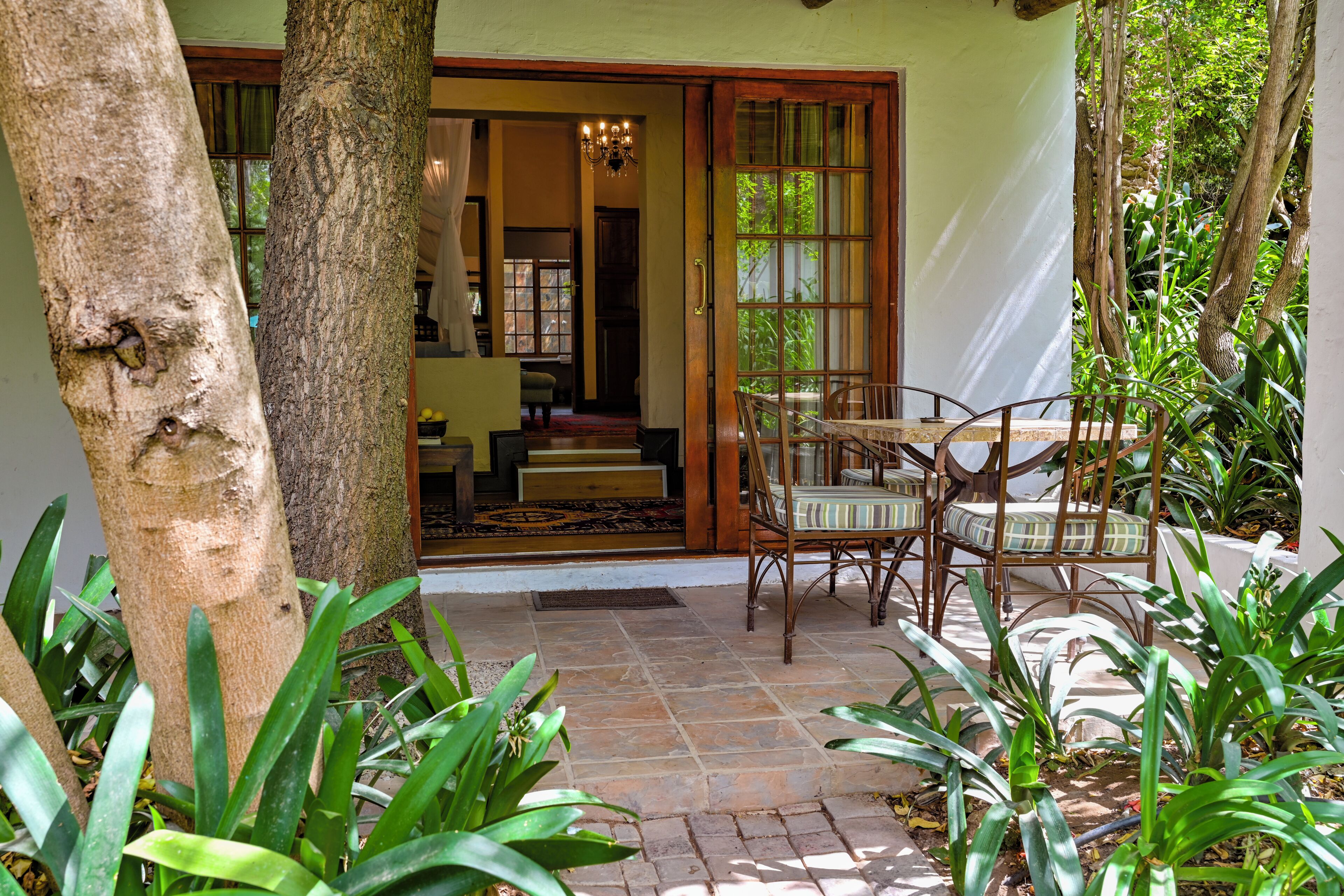 Uma área de pátio com mesa e cadeiras, rodeada por plantas e uma grande árvore.