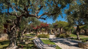 A garden with a stone pathway, a lounge chair, and a tree with red flowers. - Paliokaliva Village (Zakynthos)