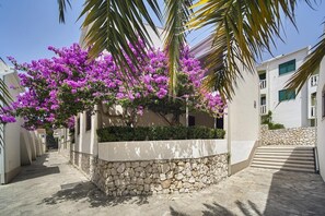 Terrein van de accommodatie