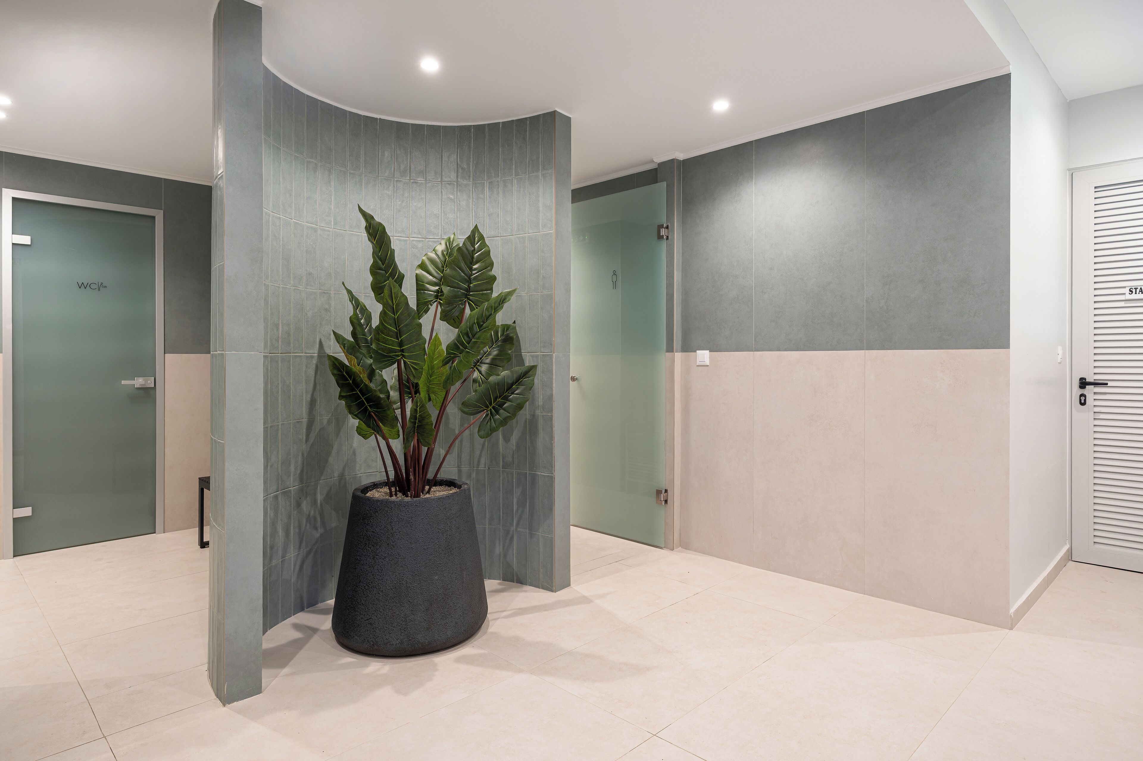 A modern lobby with a large potted plant, a curved wall, and a glass door.