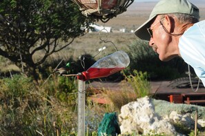 Servicios del alojamiento