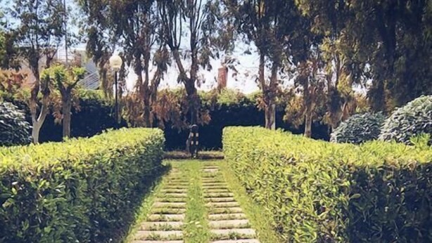 A stone pathway leading through a well-maintained garden with trimmed hedges and trees in the background. - Hotel Baia Del Sole (Civitavecchia)