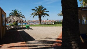 A beachside area with palm trees, a thatched-roof structure, and a pool. - Hotel Baia Del Sole (Civitavecchia)
