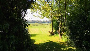 A pathway through a lush green area with trees and a field in the distance. - Wolds Village (Driffield)