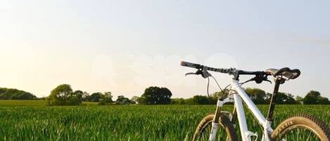 En cykel i et mark under en klar himmel.