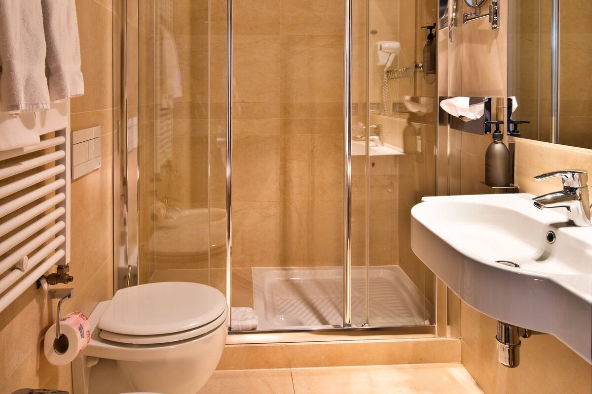 combined shower/bathtub, free toiletries, hair dryer, bidet