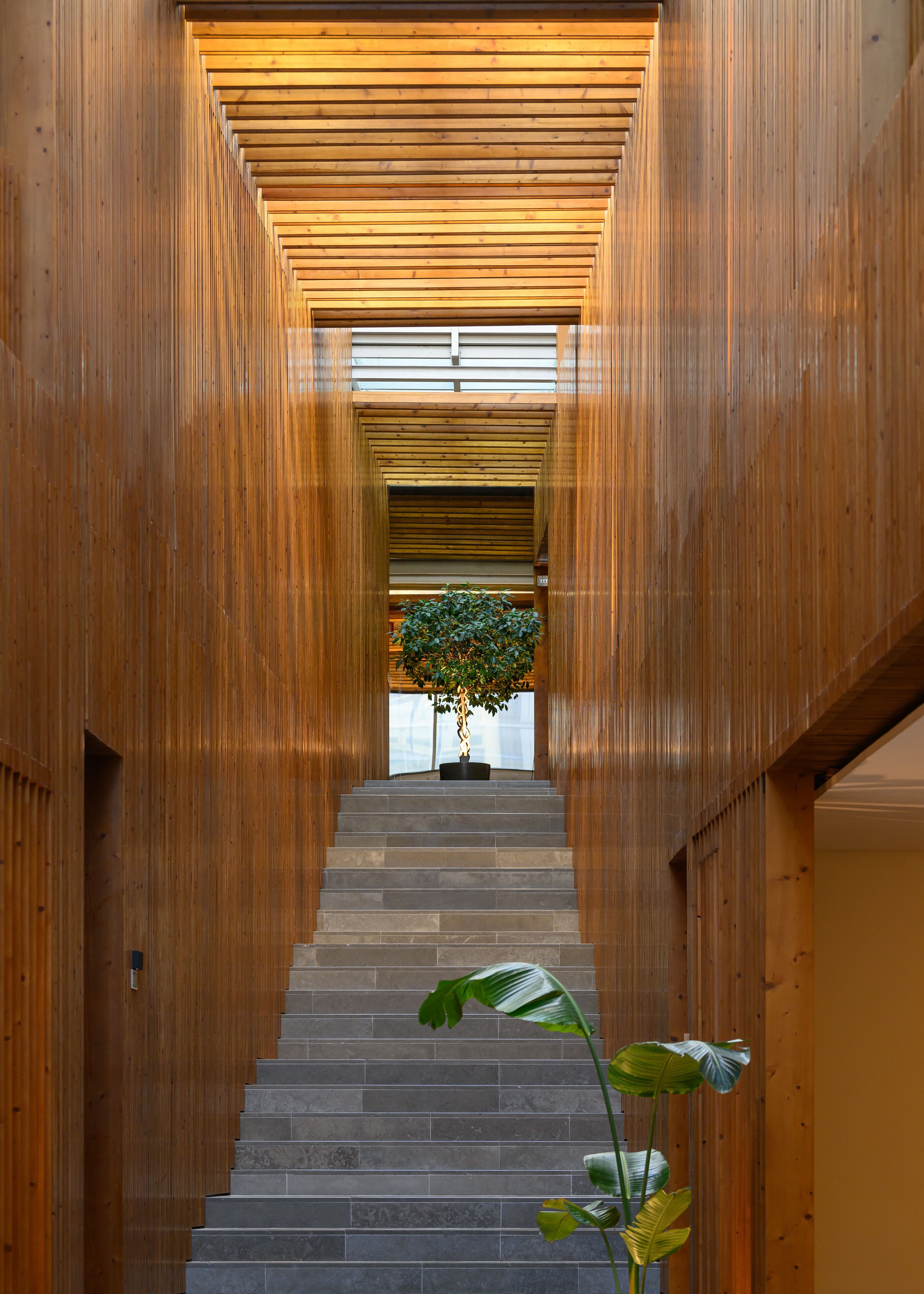 로비