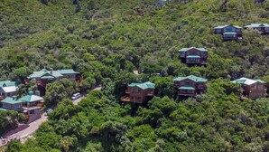A cluster of wooden cabins with green roofs nestled among dense forest. - Boardwalk Lodge - self-catering (Wilderness)