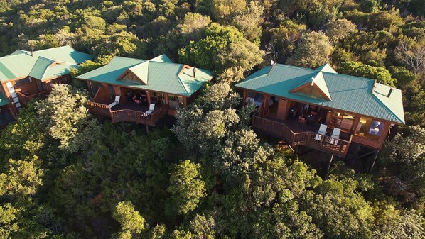 A cluster of cabins with green roofs, surrounded by dense forest. - Boardwalk Lodge - self-catering (Wilderness)