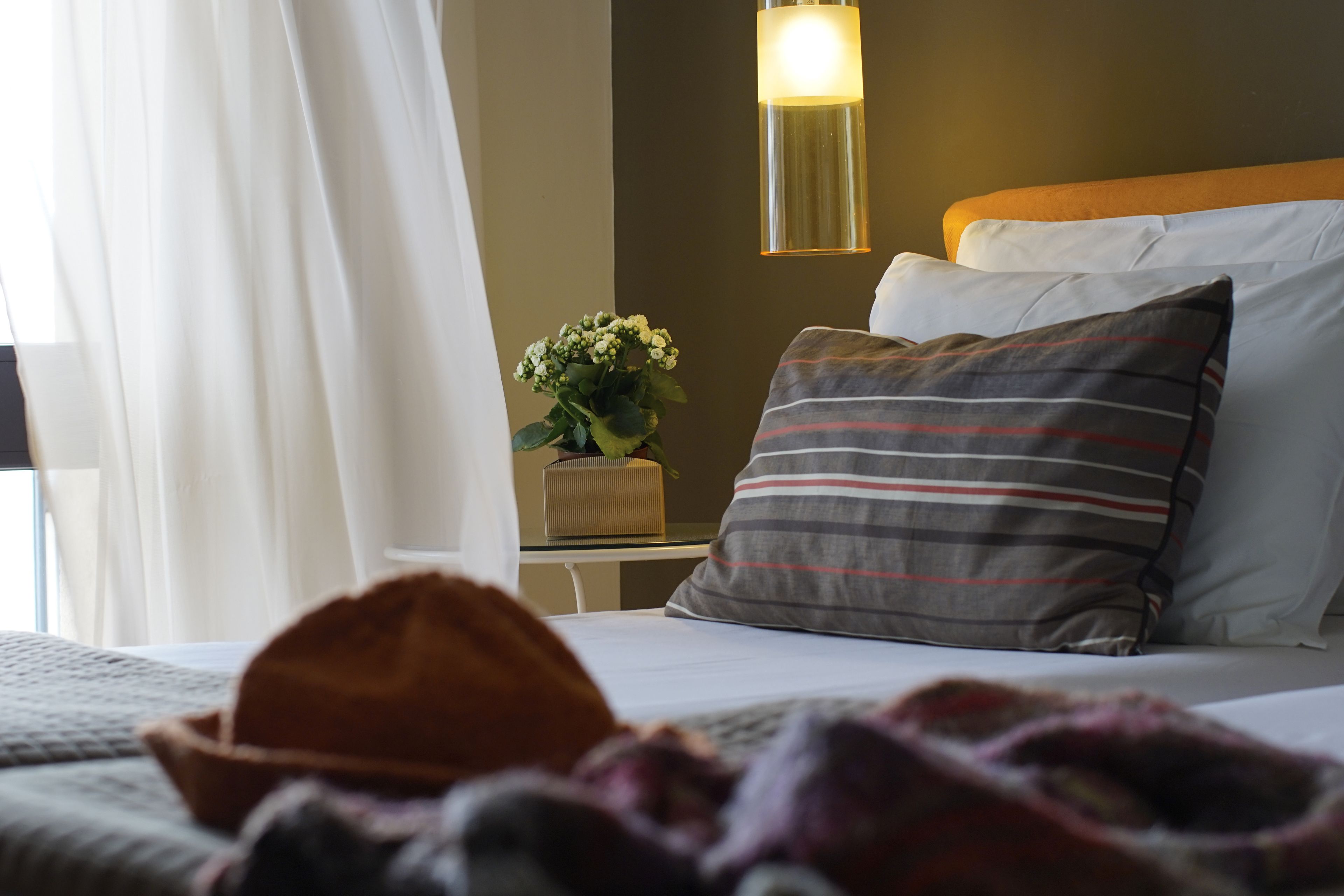 埃及棉床單、高級寢具、羽絨被、記憶床墊