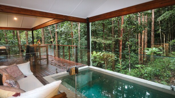 A glass-enclosed infinity pool with a wooden deck, surrounded by lush forest.