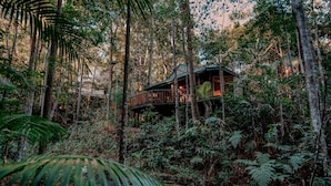 A treehouse with a wooden deck and a glass window, surrounded by dense forest.