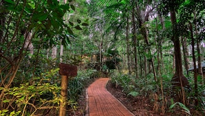 A paved pathway through a dense forest with a wooden signpost.