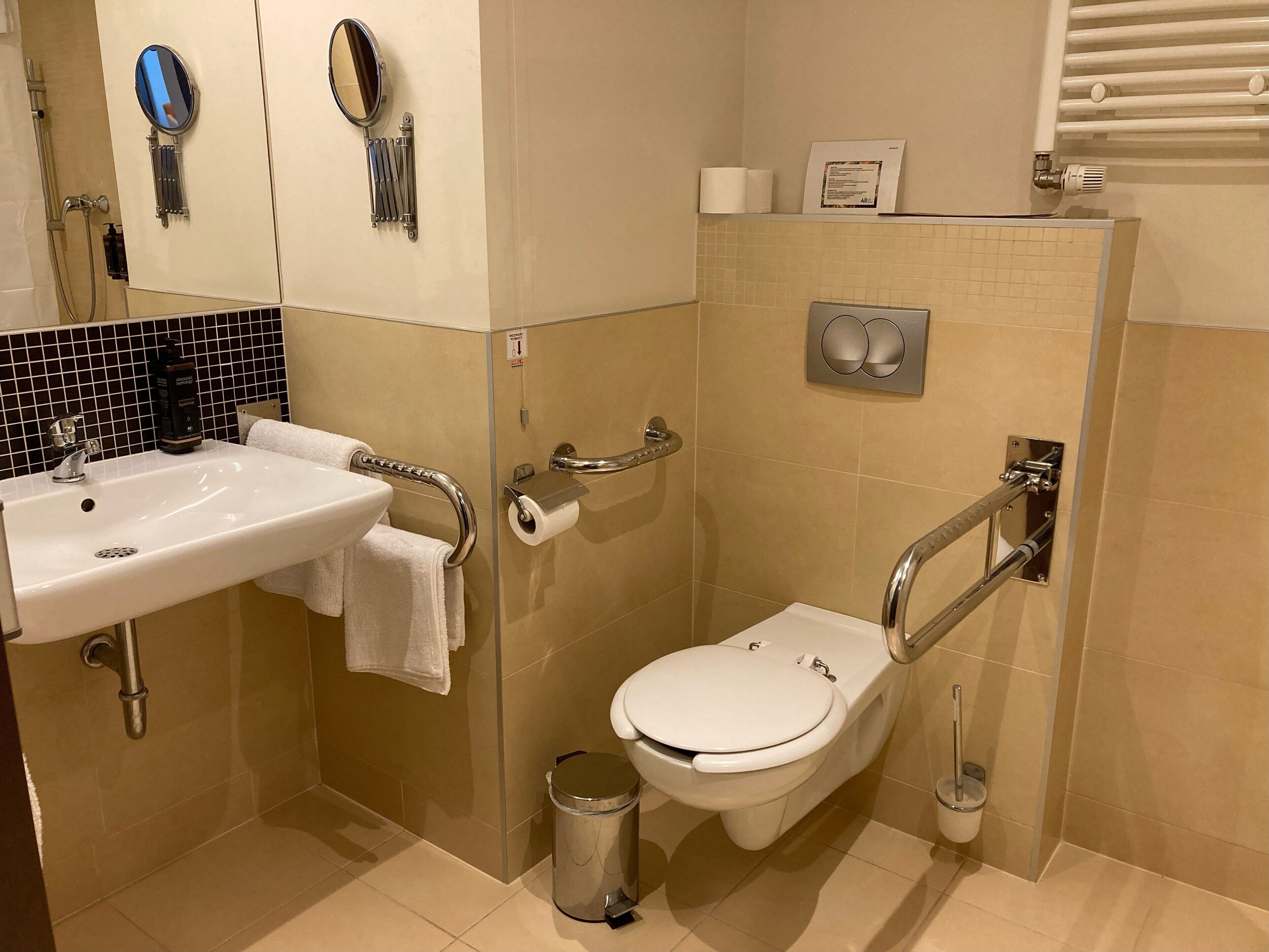 standard room, 1 double bed with sofa bed, accessible | bathroom | shower, rainfall showerhead, eco-friendly toiletries, hair dryer