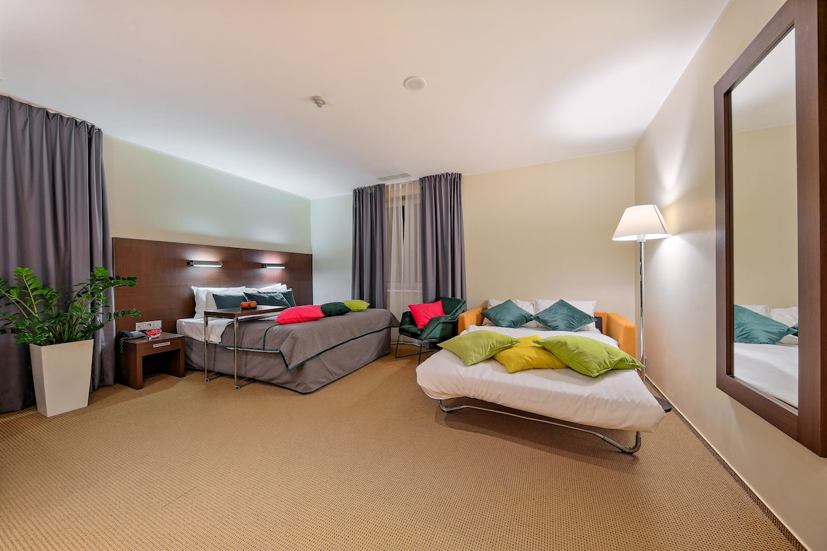 Standardværelse - 1 dobbeltseng med sovesofa - handicapvenligt | 1 soveværelse, premium-sengetøj, pengeskab på værelset, skrivebord