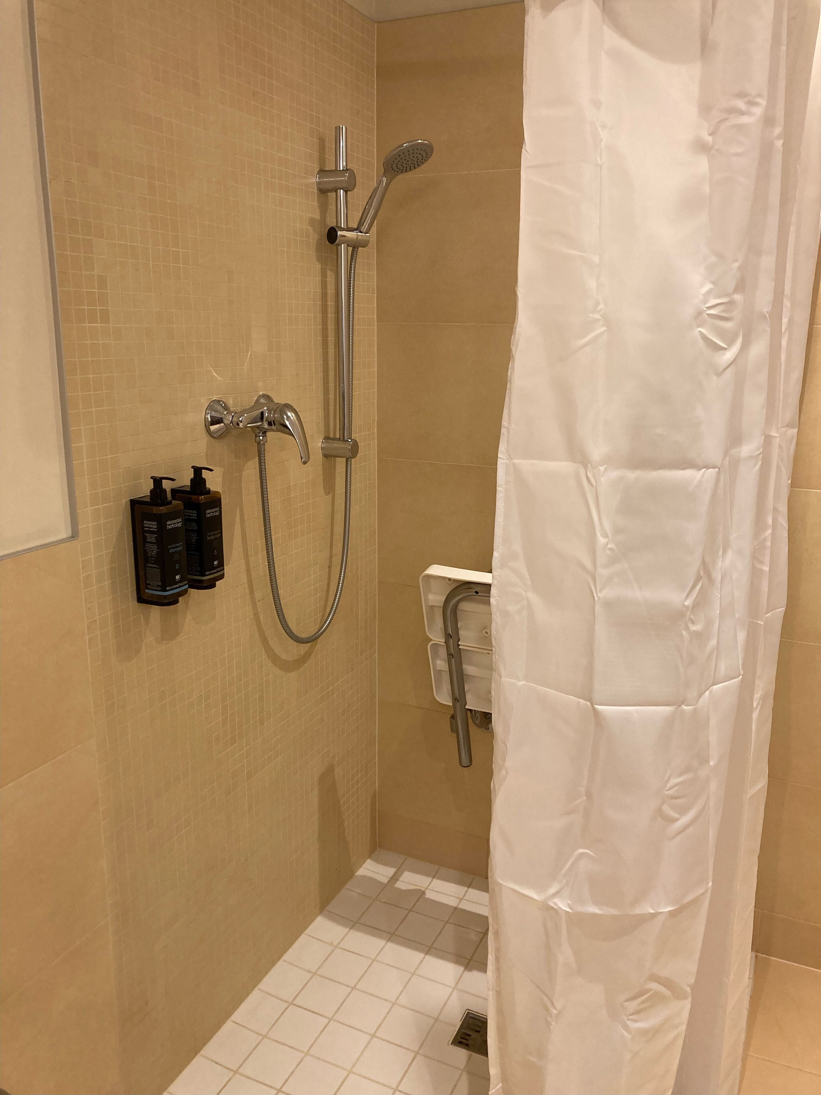 standard room, 1 double bed with sofa bed, accessible | bathroom | shower, rainfall showerhead, eco-friendly toiletries, hair dryer