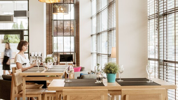 Un comedor moderno con mesas y sillas de madera, cristalería y una planta en maceta.