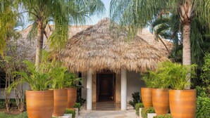 A tropical resort entrance with a thatched roof, palm trees, and large potted plants. - Zel Punta Cana, All Suites - All inclusive (Punta Cana)