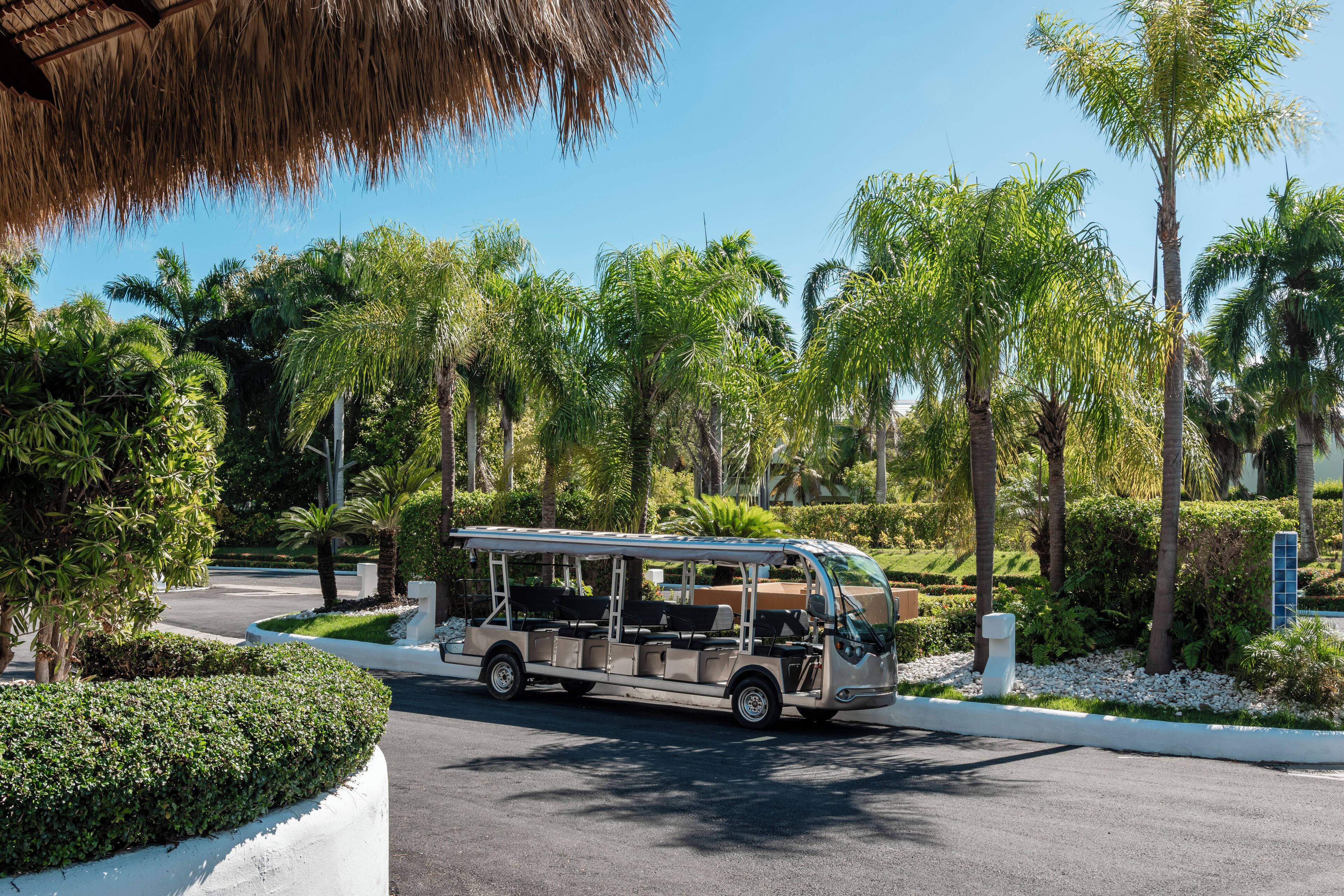 A bus parked on a road with palm trees and a white building in the background.