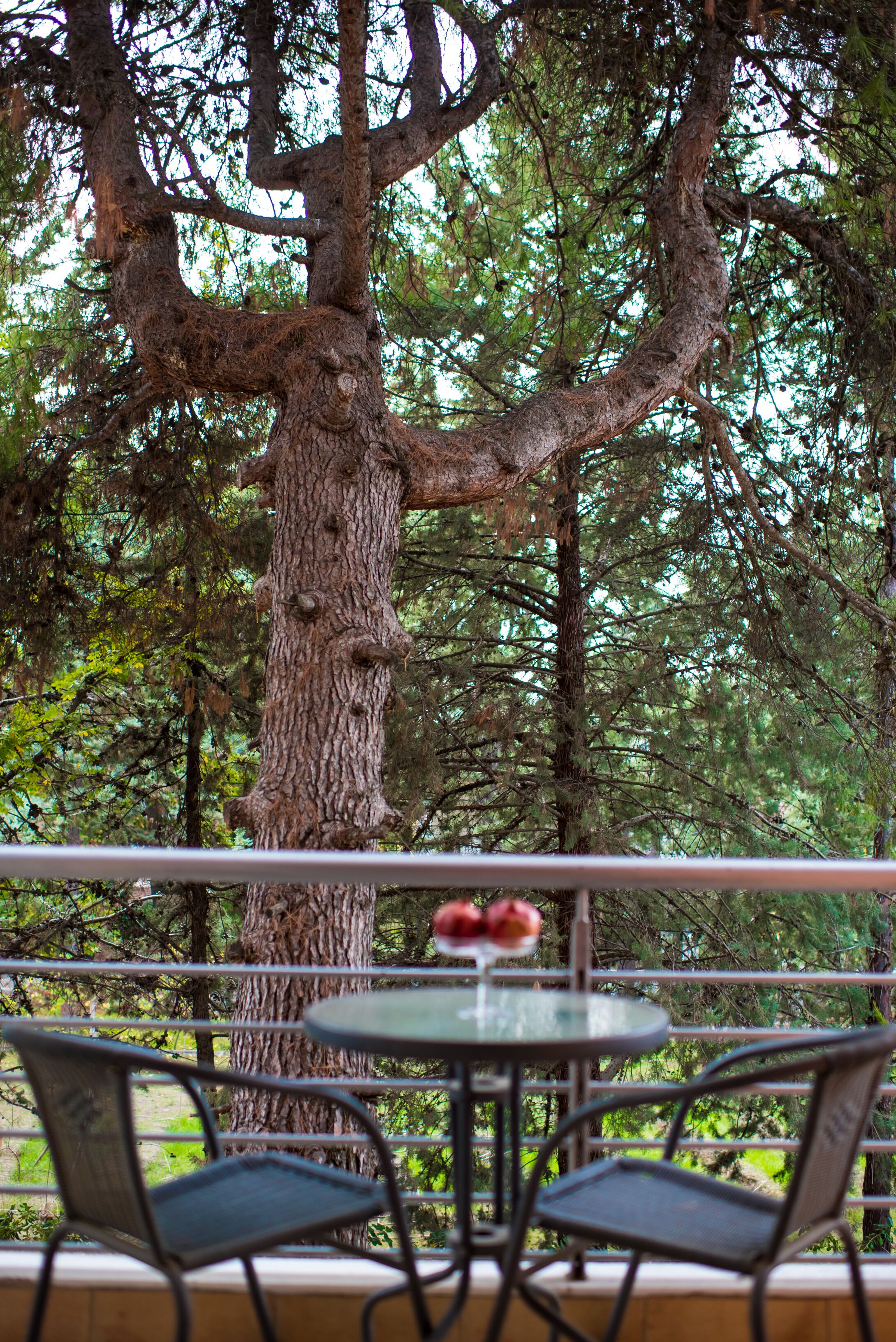 Phòng Suite Deluxe, 1 giường cỡ king, bồn tắm nước nóng, quang cảnh vườn | Hiên