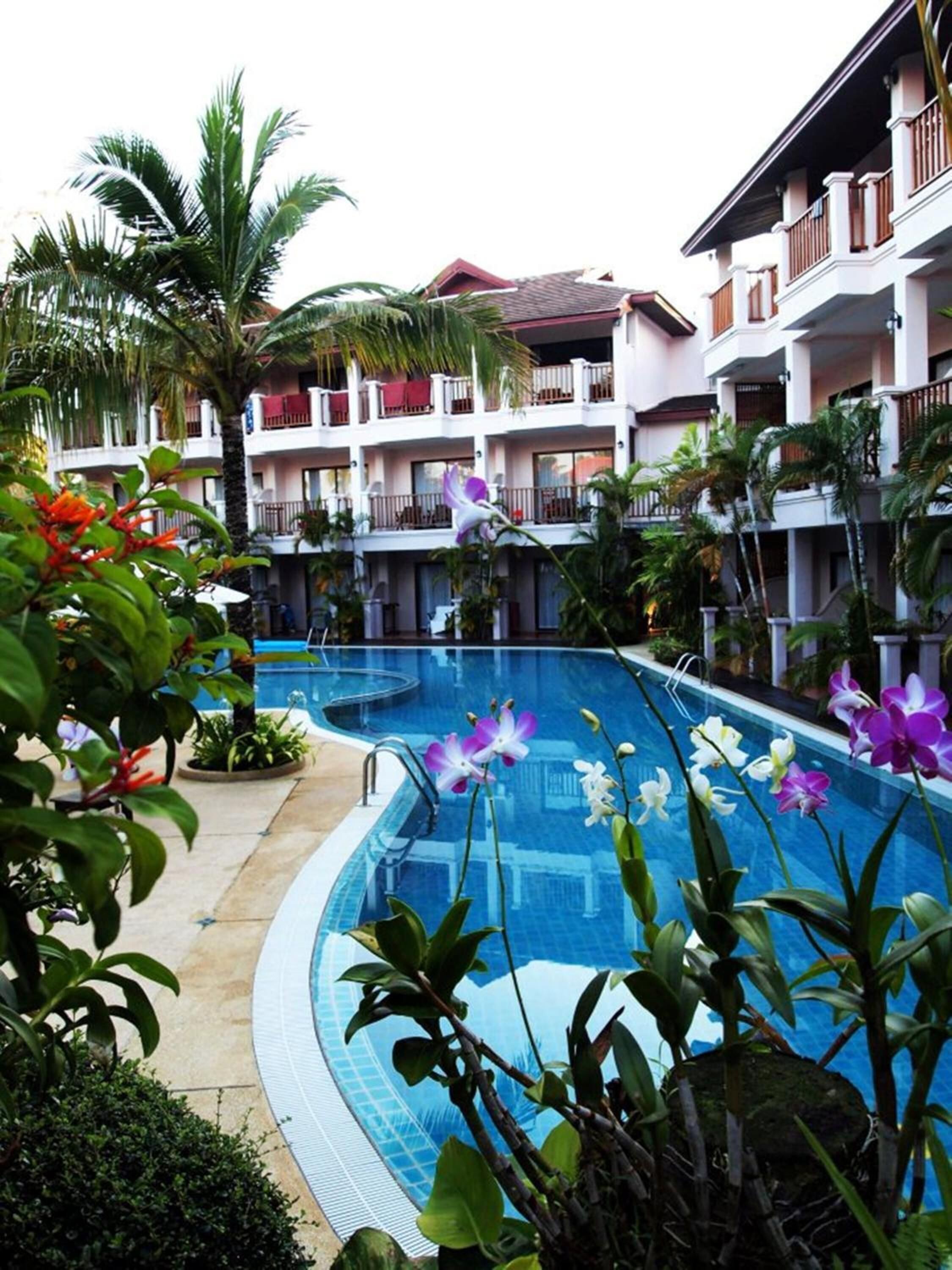 A swimming pool with a curved edge, surrounded by tropical plants and palm trees.