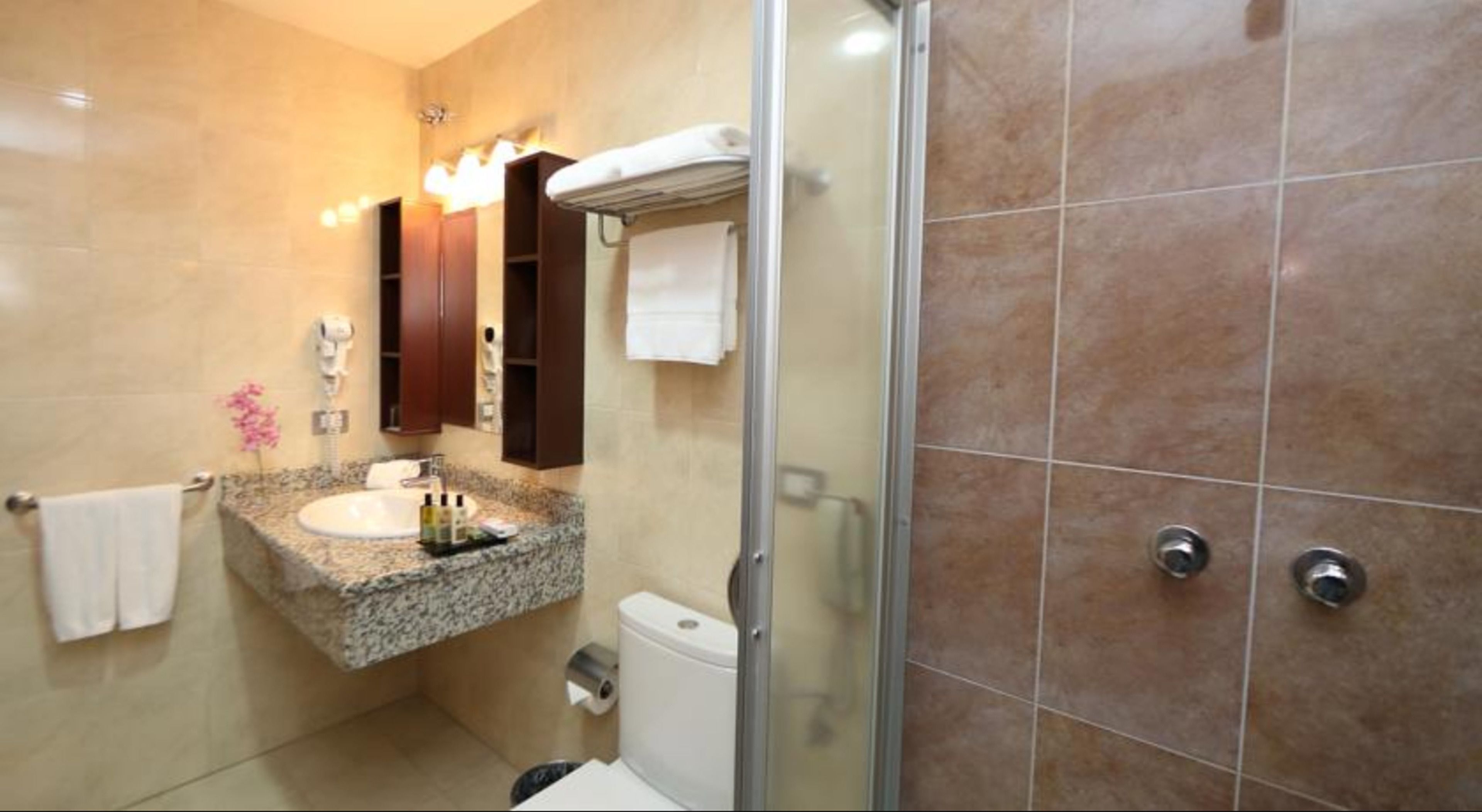 shower, free toiletries, hair dryer, towels