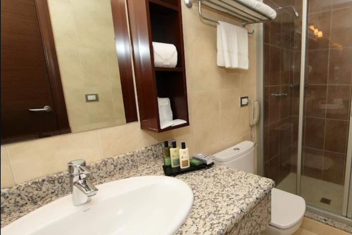 standard twin room | bathroom | shower, free toiletries, hair dryer, towels