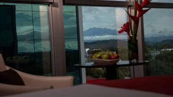 إطلالة الغرفة