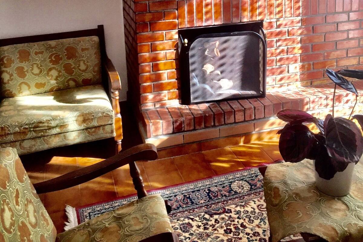 A living room with a brick fireplace, a sofa, and a bookshelf.
