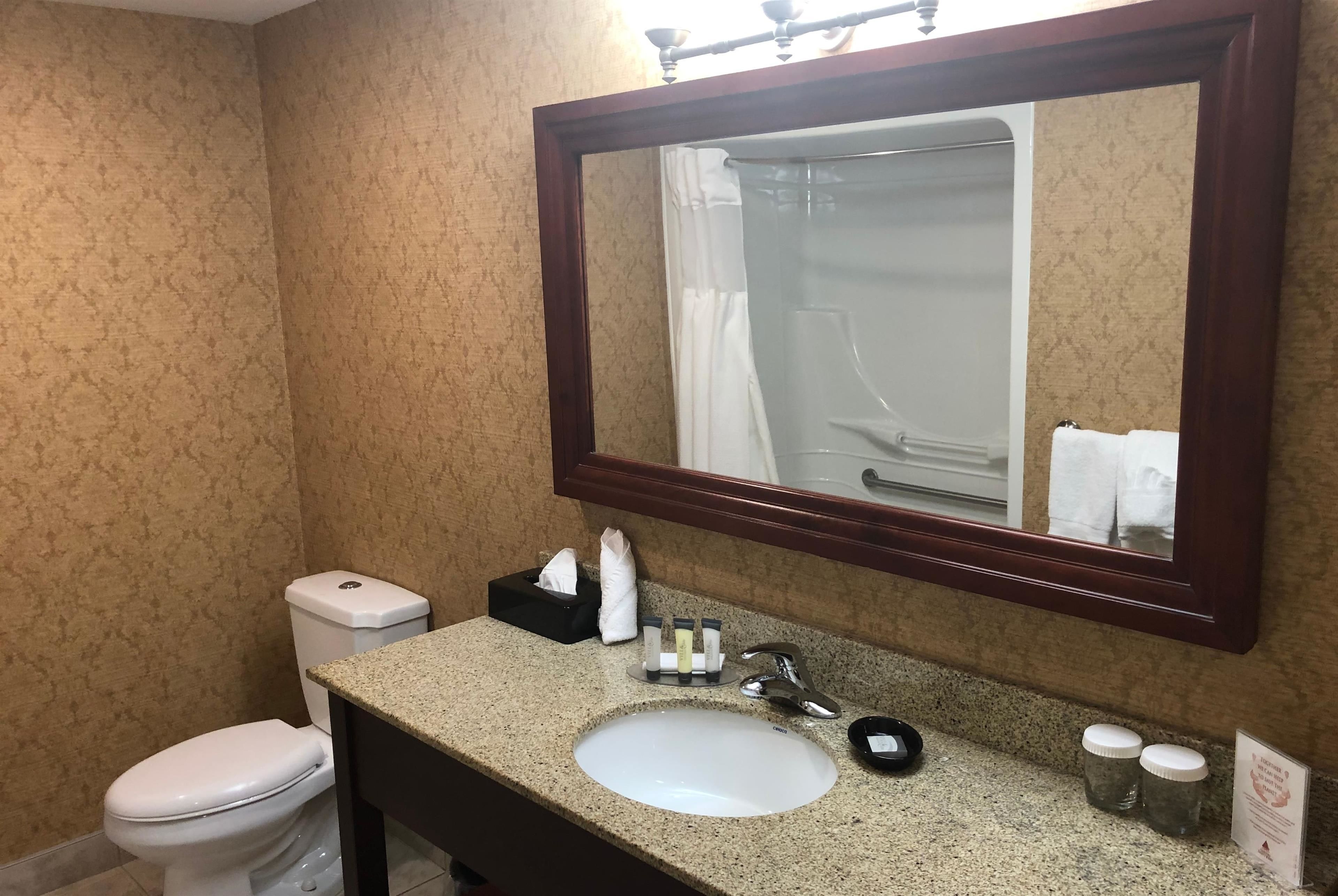 Une salle de bain équipée de toilettes, d’un lavabo, d’un miroir et d’un rideau de douche.