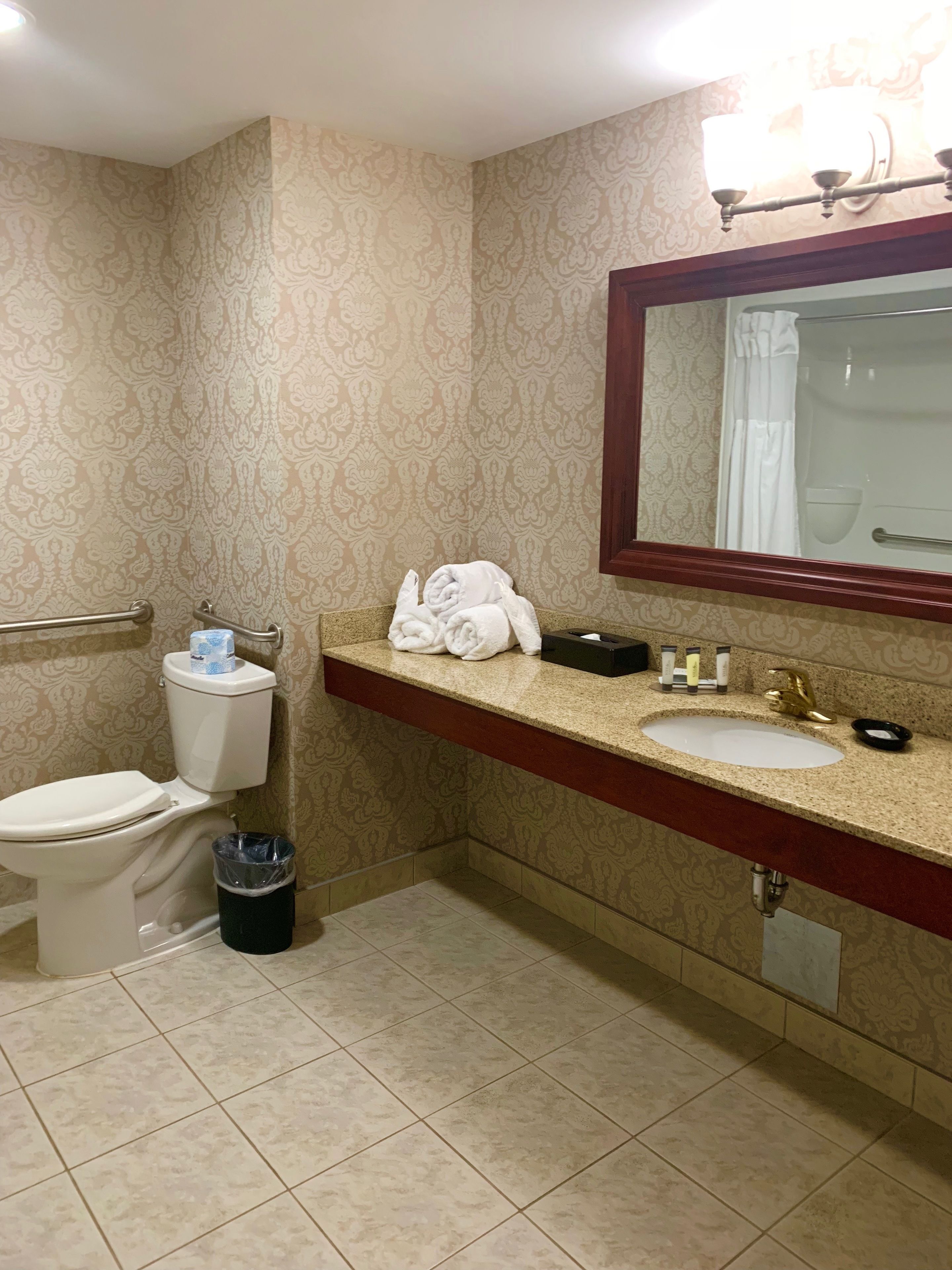A bathroom with a toilet, sink, and mirror.
