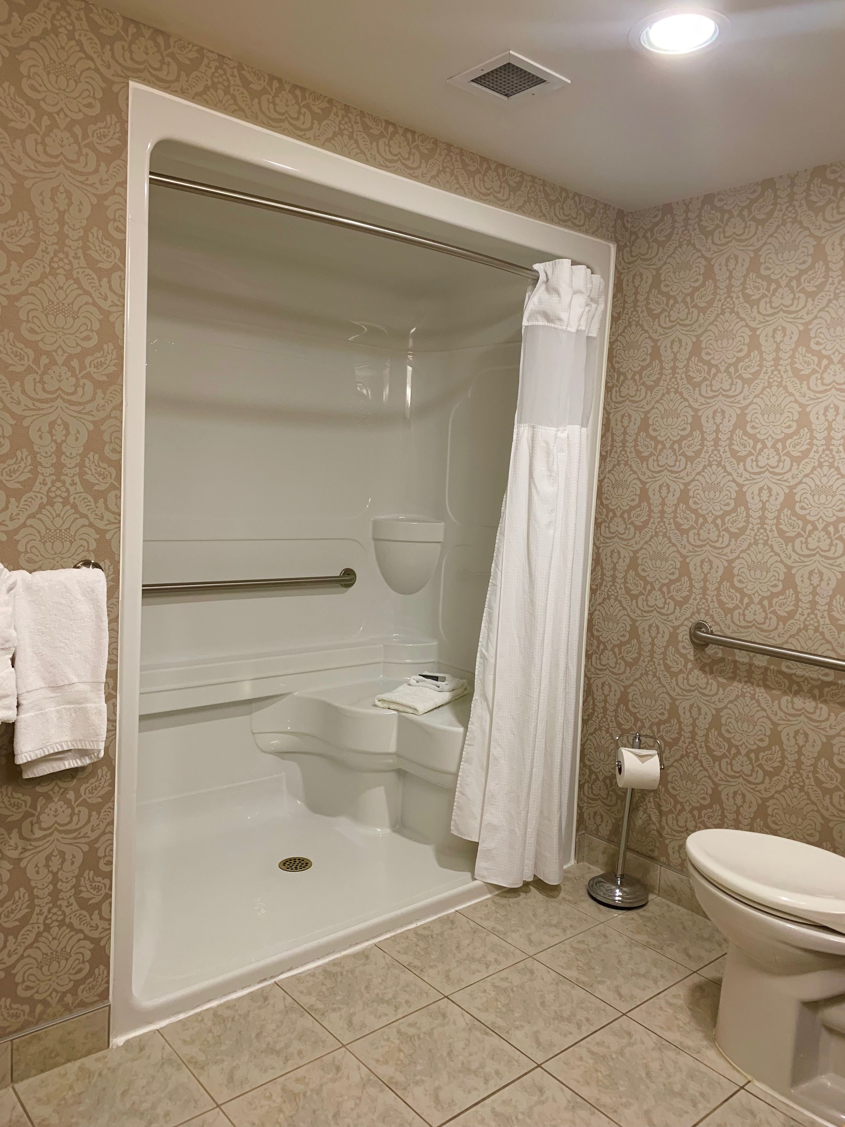 Une salle de bain avec une douche à l’italienne, des toilettes et un porte-serviettes.