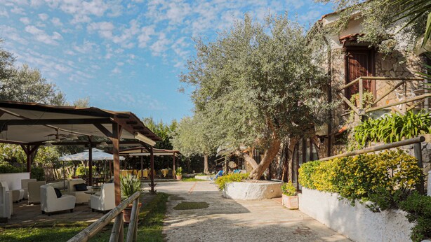 Un patio exterior con mobiliario, una pérgola y un muro de piedra con plantas.