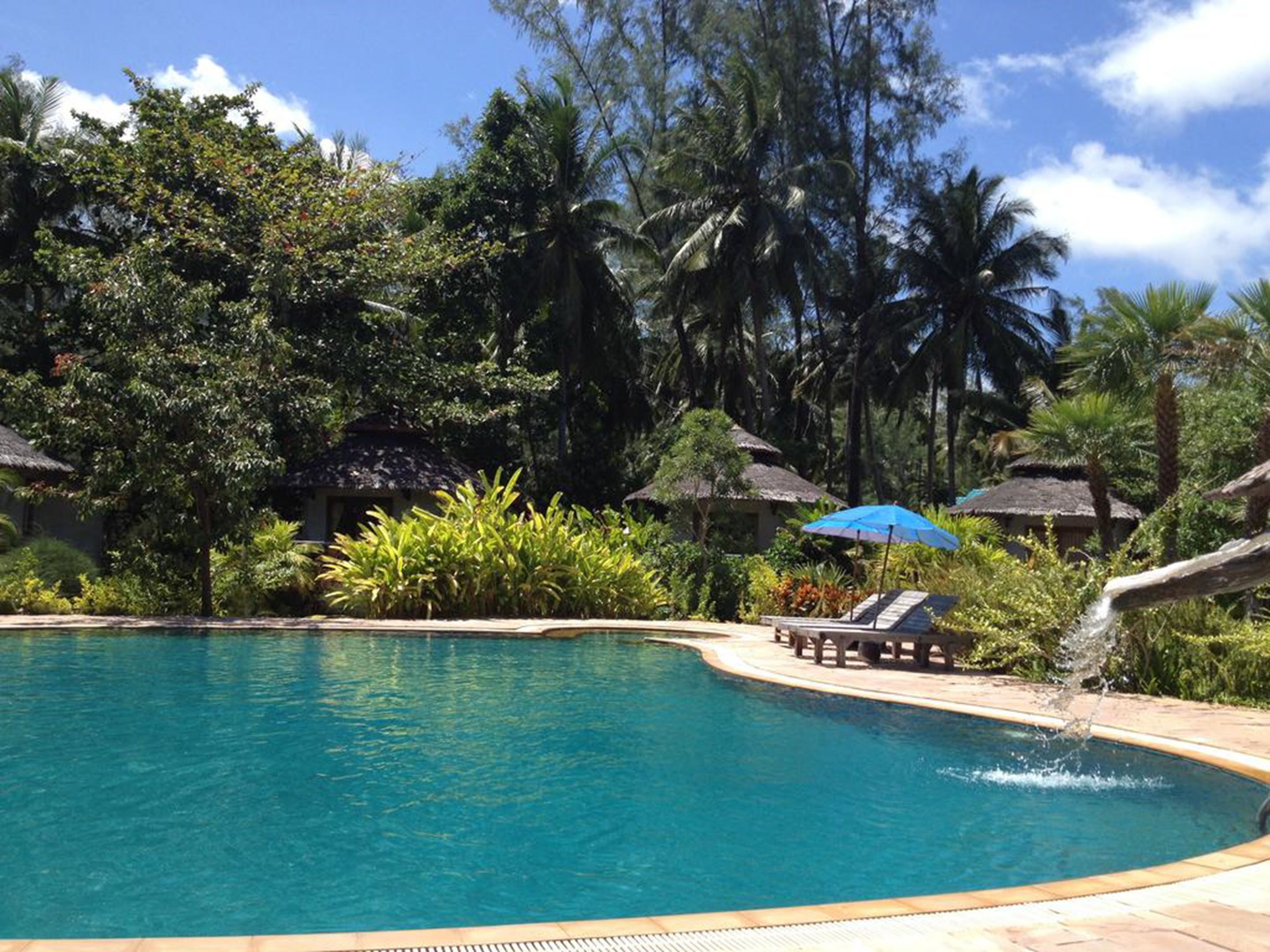 Una piscina al aire libre, sombrillas, sillones reclinables de piscina