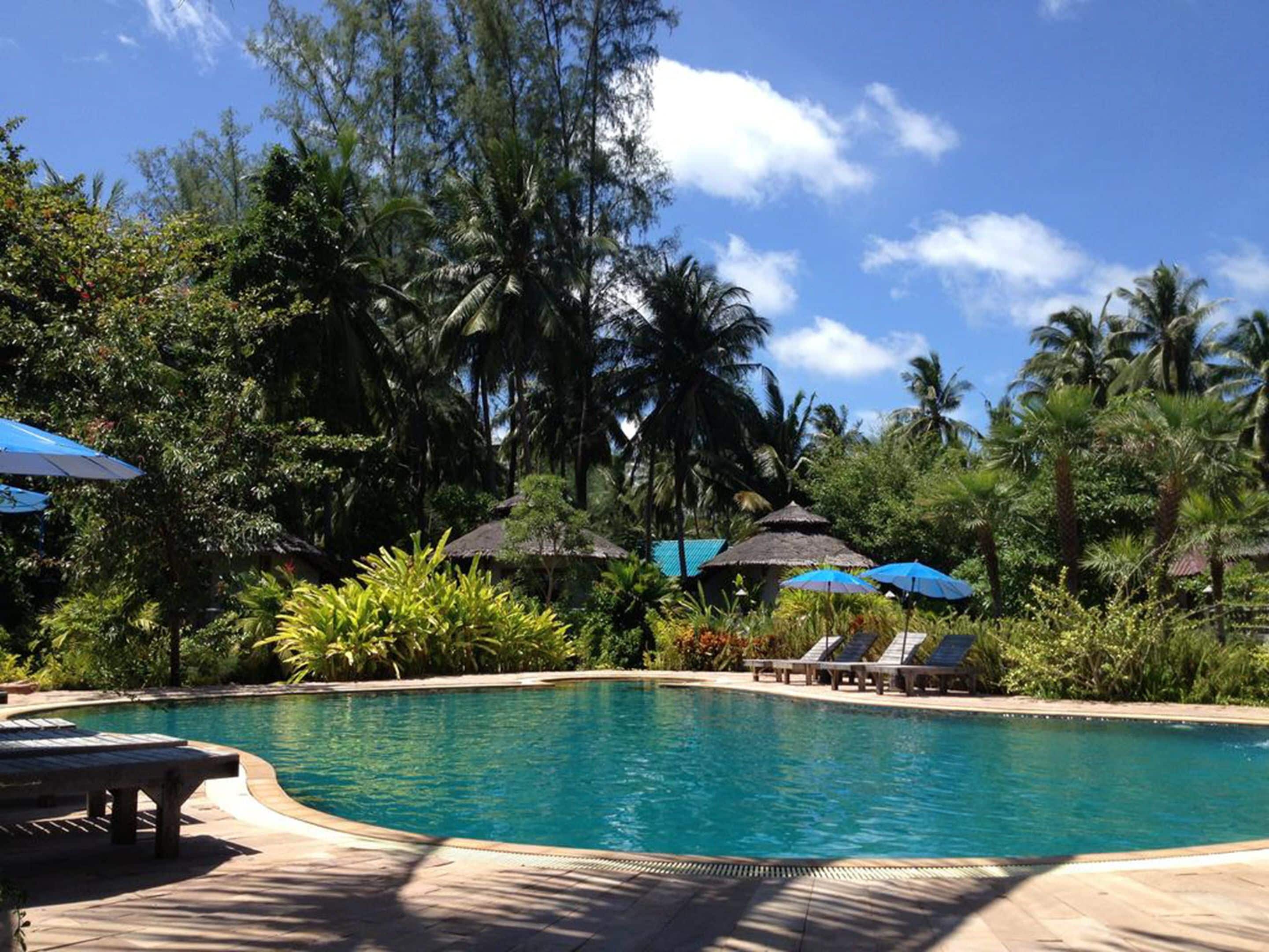 Un área de piscina con sillas de descanso y sombrillas, rodeada de vegetación tropical y palmeras.