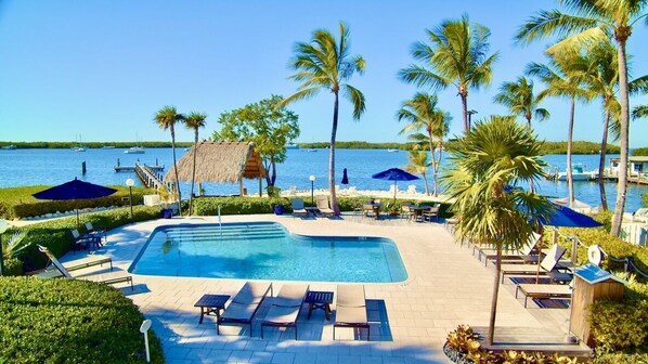 حمّام سباحة خارجي، مظلات على حمّام السباحة، مقاعد للتشمس