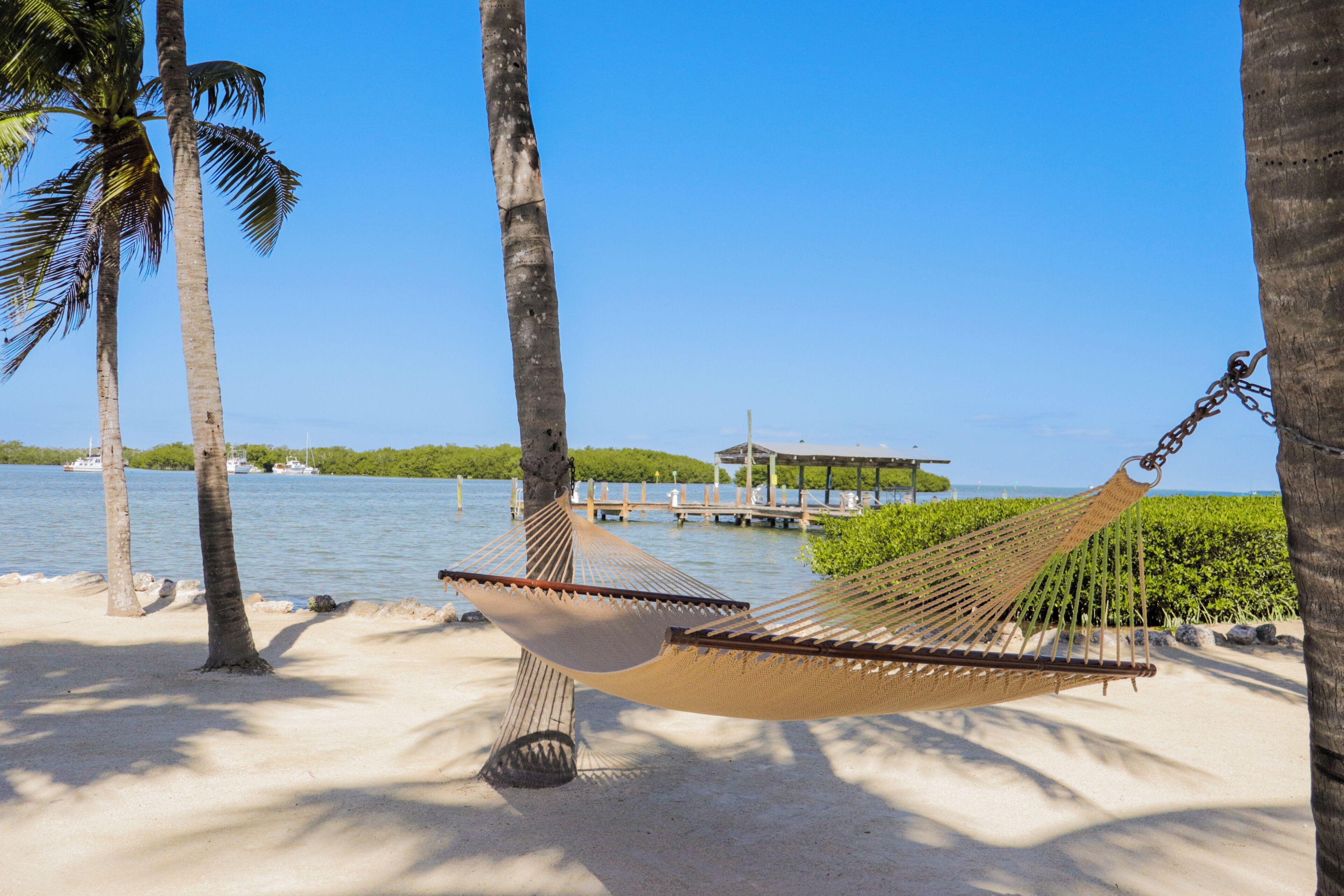 Una hamaca sobre una playa arenosa con palmeras y un muelle al fondo.