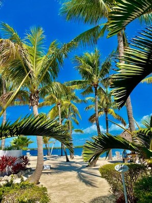 Property grounds - Coconut Palm Inn (Tavernier)