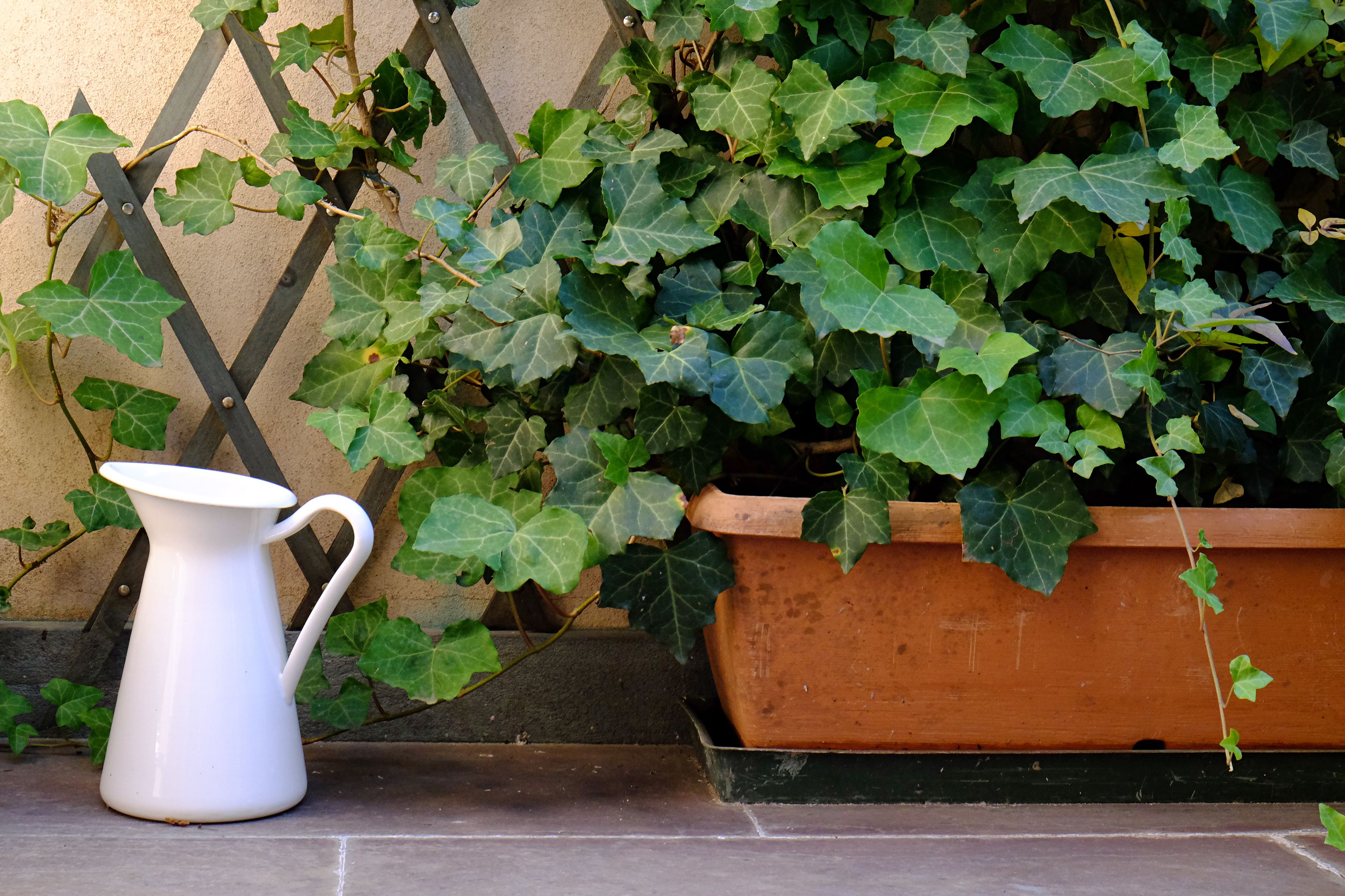 Foto - Petronilla - Hotel In Bergamo