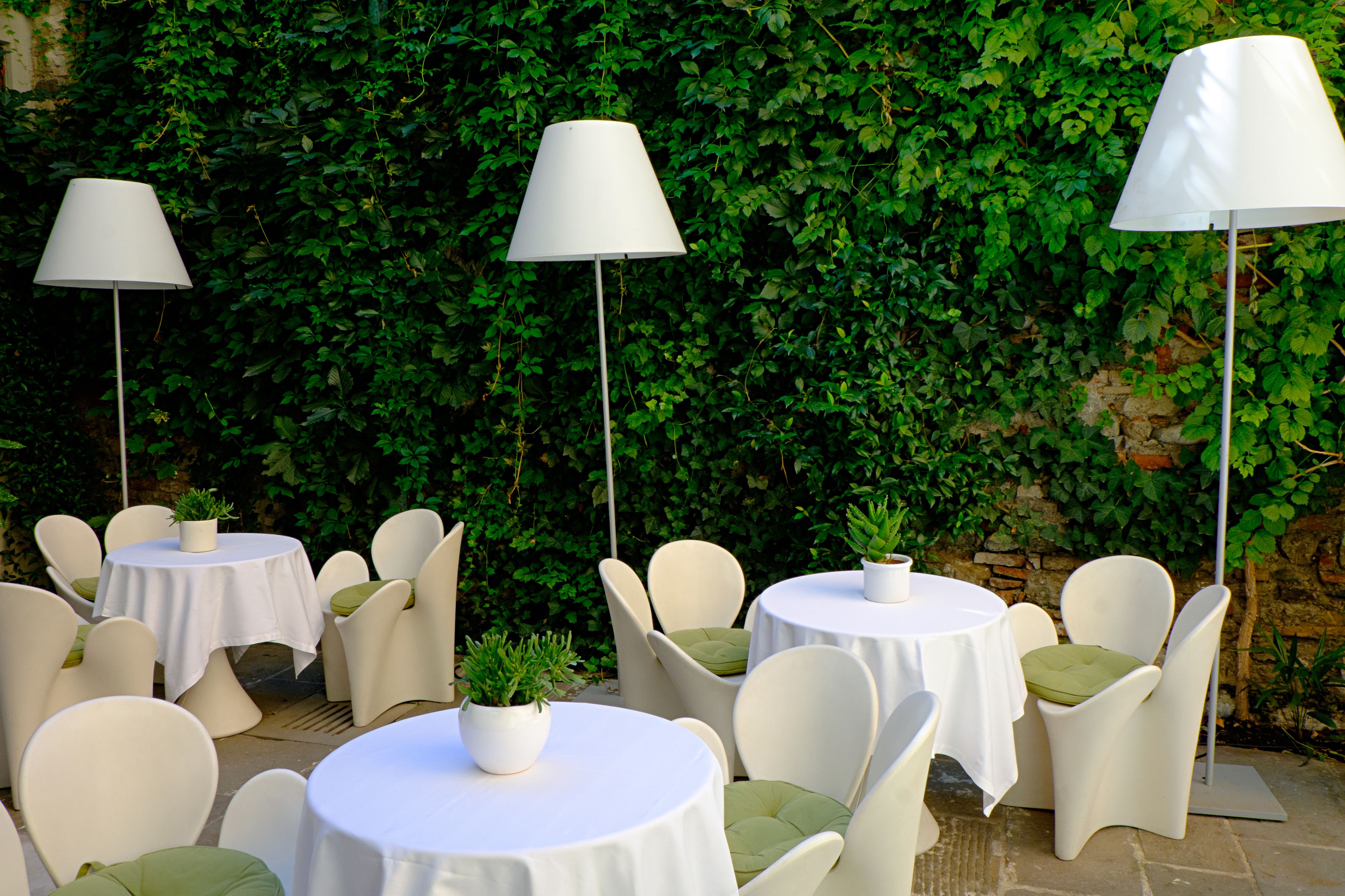 A patio area with round tables and white chairs, each with a potted plant.